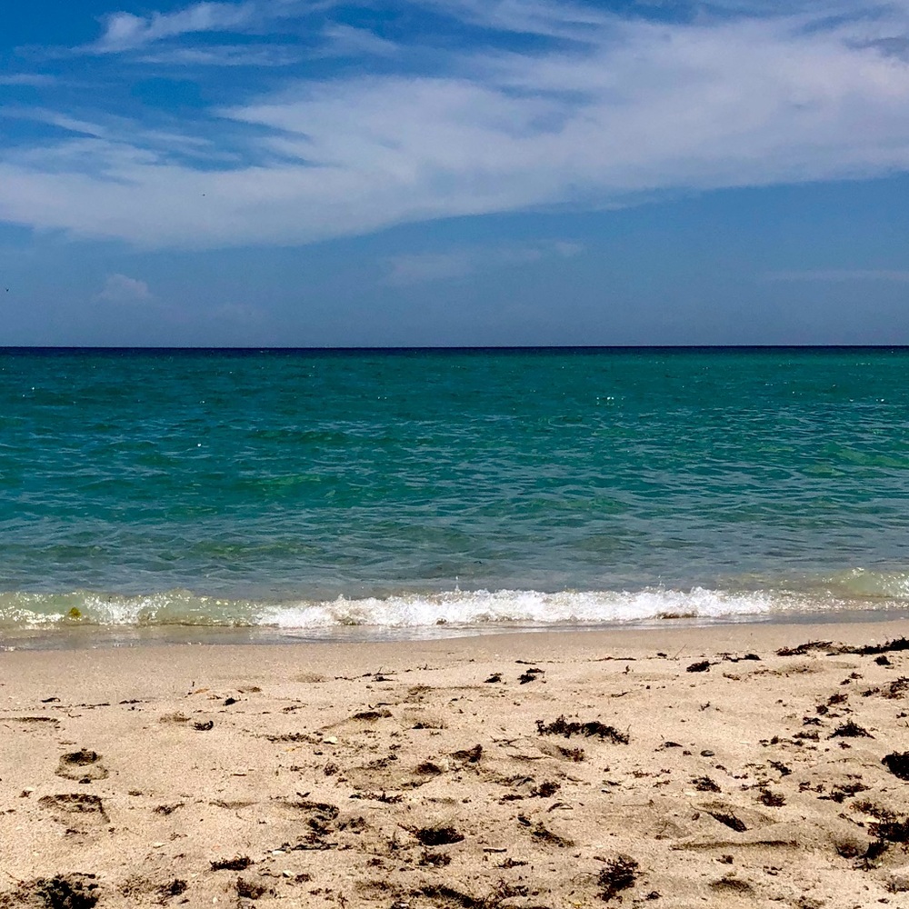 Meet your Posher, Jenni